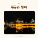 동궁과월지 화장실 | [경주] 동궁과 월지 야경 관람 후기 | 주차·운영시간·포토존 총정리