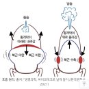 뽀너스 이미지