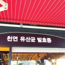 옵써빵집 이미지
