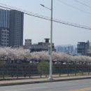 휴먼시아할인마트 이미지