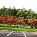 도화동산 이미지