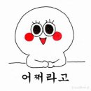 동글이 - 평창군 | 동글이