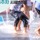 마포명품공인중개사사무소 네이버블로그