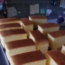 가또마들렌