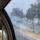 [생후7개월] 외출황금기 시절, 본격적인 프랑스 이유식 레시피, 아베끄마망 200일 사진 촬영 후기