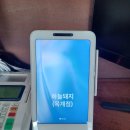 하늘돼지 이미지