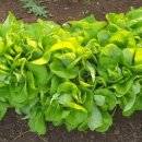 이덕주농장 이미지