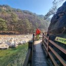 낙동강세평하늘길 | 낙동강 세평 하늘길 20251122