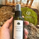 여름철 필수 아이템 모스큐브(모기퇴치제)만들기 | 7살 아이와 함께한 천연 모기퇴치제 만들기｜화학성분 NO! 향기나는 모스큐브 클래스 후기