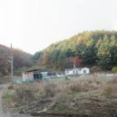 경안천 운학동 이미지