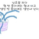 7차시 학습 보고서 이미지