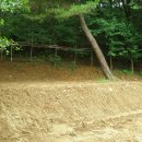 판교농장 이미지