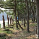 솔바람민박 이미지