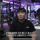 벡스휘트니스