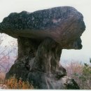 광덕4리 이미지