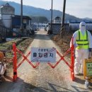 연합농장 이미지