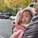 푸르미어린이집 | [육아기] 아기 240일 ~ 272일 / 8개월 몰아보기 RSV접종, 첫 아빠, 아쿠아리움, 후기이유식