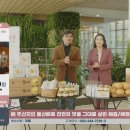 더한커머스 이미지