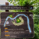 와포햇살 영농조합법인 | 홍천 여행/홍천 가볼만한곳) 수타사 with 작약꽃&amp;불두화