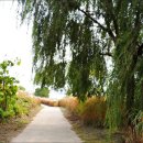 노을공원1 이미지