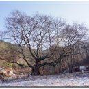 용봉2리마을회관 이미지