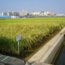 서둔지하차도 이미지