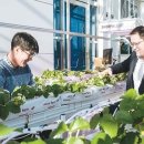 인텔렉추얼인베스트먼트 네이버블로그