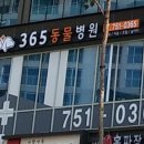 광장동물병원 이미지