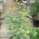 계화농장 이미지