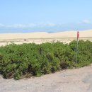 동균농장 | (시드니 관광) 동균이가 포트스테판에 가서 세상을 외치다!