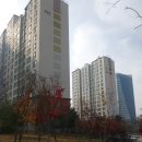 푸른숨마트 이미지