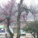 고성초등학교 이미지