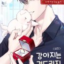 마린스포 티스토리
