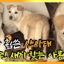 아롱이네 농장 이미지