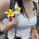 퍼피스프링 | 🍋🥥🐶 발리 여행일기 2화 _ 짱구편 🏝️🪷🇮🇩