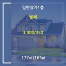 권오경 사무소 이미지