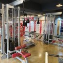 라이크 짐 이미지