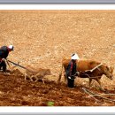 김삿갓면-19 이미지