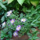 이리유치원 이미지