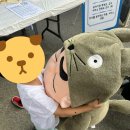 클린앤키즈유아식판세척업체 네이버블로그