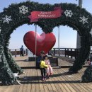 하이원휴양콘도미니엄 이미지