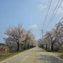 비상낚시터 이미지