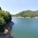 평림댐장미공원 이미지