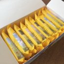 마스코타 펫 이미지