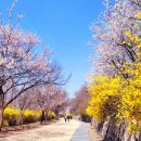 노을공원3 이미지