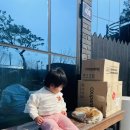 인삼로 | 증평 대형카페 미몽 내돈내산 후기