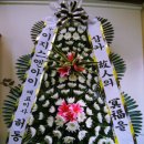 놀뫼과일
