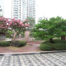 롯데캐슬공인중개사사무소 이미지