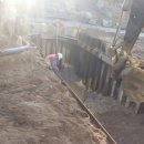 증산-017 이미지