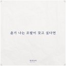 하루두피 수원광교점 네이버블로그